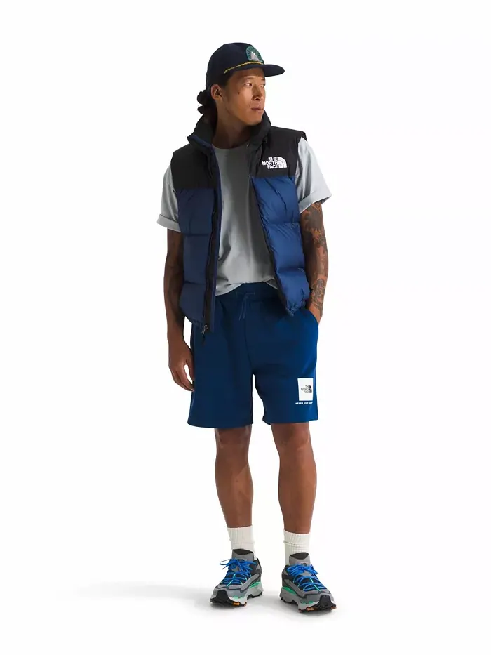 Мужские шорты Box Regular The North Face — изображение 3 из 12, черный белый