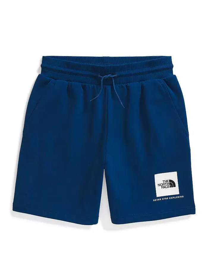 Мужские шорты Box Regular The North Face — изображение 4 из 12, черный белый