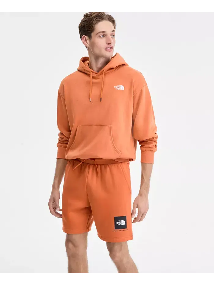 Мужские шорты Box Regular The North Face — изображение 5 из 12, черный белый