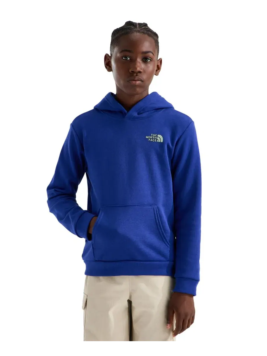 Худи с капюшоном с длинным рукавом The North Face