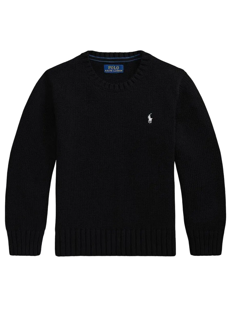 Детский свитер с круглым вырезом, с длинным рукавом, с вышивкой Polo Ralph Lauren