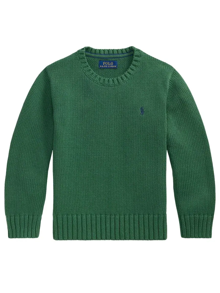 Свитер с круглым вырезом с длинным рукавом Polo Ralph Lauren — изображение 1 из 3, зеленый