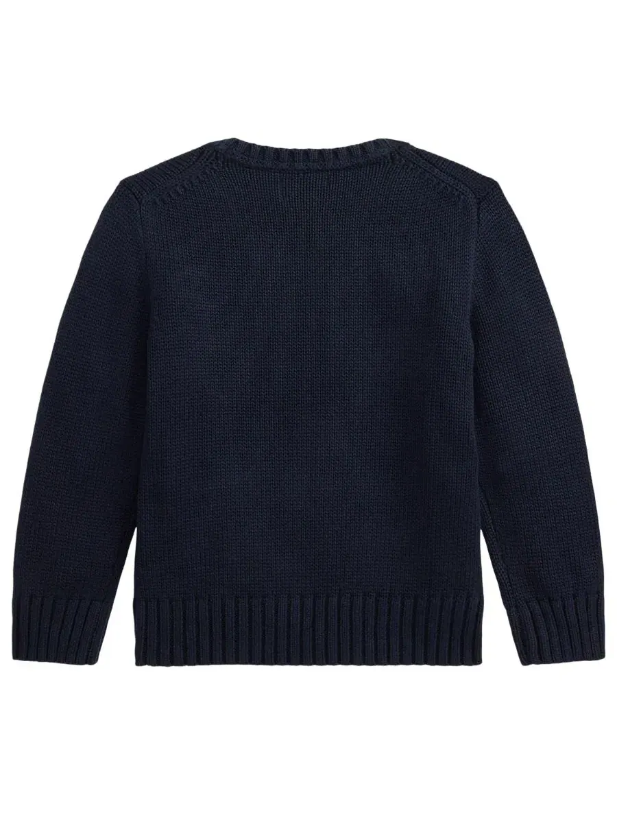 Детский свитер с круглым вырезом, хлопковый, с вышивкой Pony Polo Ralph Lauren — изображение 2 из 3, темно-синий