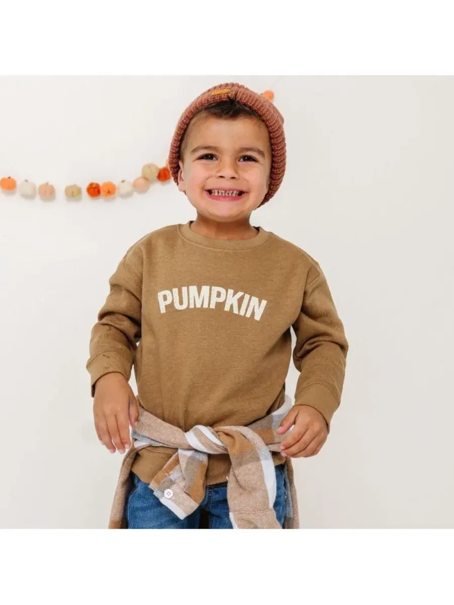 Детский свитшот с принтом Pumpkin Sweatshirt Sweet Wink — изображение 3 из 3, коричневый