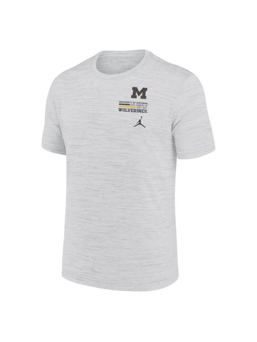 Jordan Мужская белая футболка Michigan Wolverines Velocity Stacked Performance — изображение 2 из 3, белый
