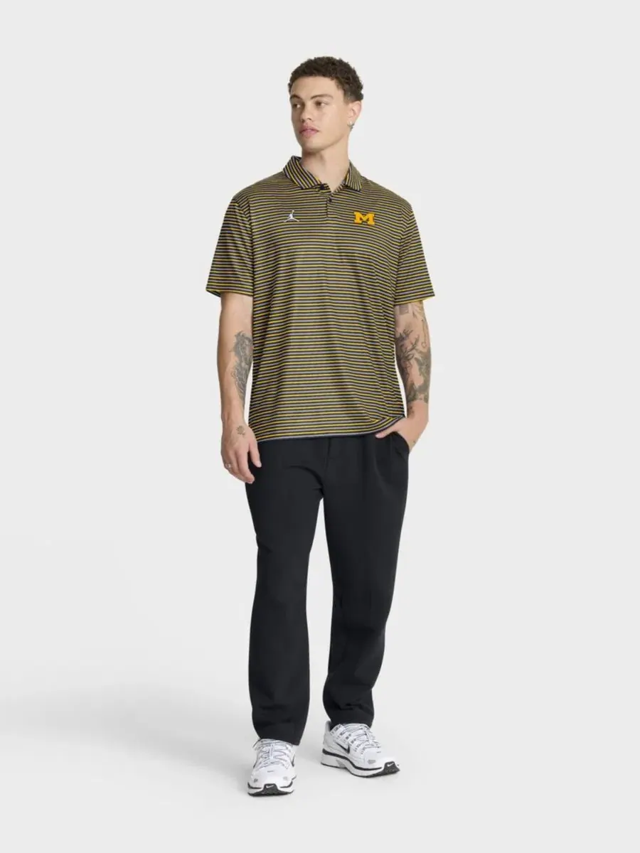 Мужская футболка-поло Maize Michigan Wolverines 2025 Coaches Premium Tour Stripe Dri-FIT Jordan — изображение 3 из 5