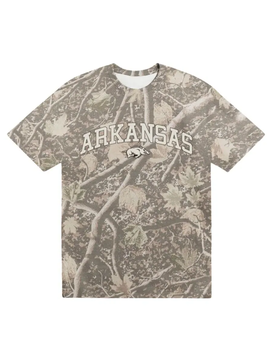 Футболка мужская с принтом Arkansas Razorbacks Back Bay Heavyweight Uscape Apparel — мульти