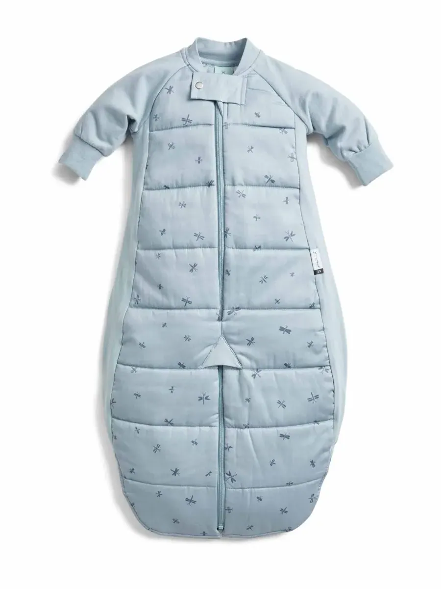Спальный мешок для мальчиков и девочек 2,5 TOG ErgoPouch, Dragonflies — без цвета