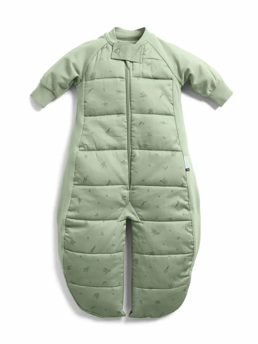 Спальный мешок для мальчиков и девочек 2,5 TOG ErgoPouch, Willow — изображение 2 из 7