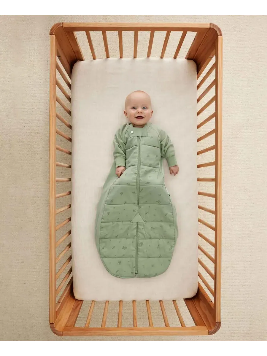 Спальный мешок для мальчиков и девочек 2,5 TOG ErgoPouch, Willow — изображение 7 из 7