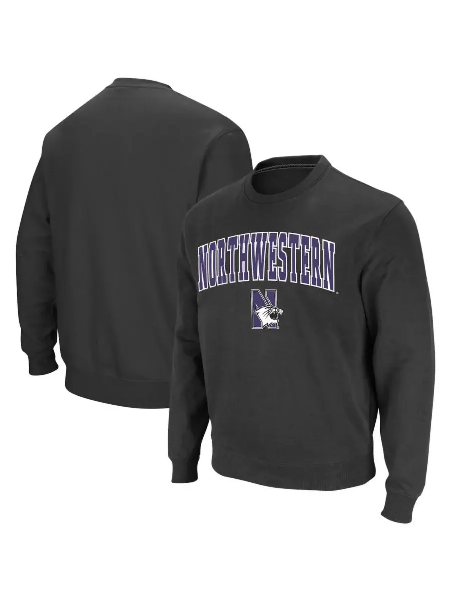 Мужская толстовка с круглым вырезом и логотипом команды Northwestern Wildcats Colosseum — изображение 1 из 7, темно-серый