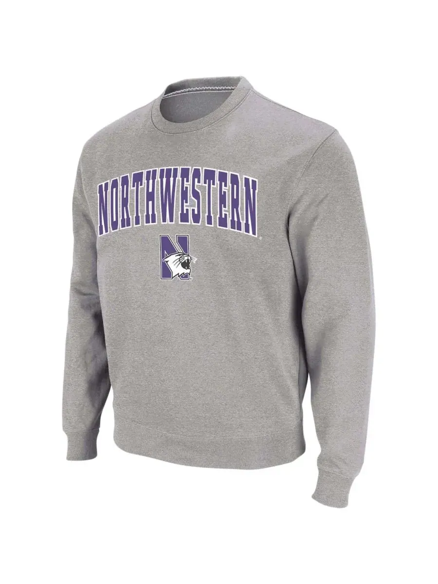 Мужская толстовка с круглым вырезом и логотипом команды Northwestern Wildcats Colosseum — изображение 2 из 7, серый