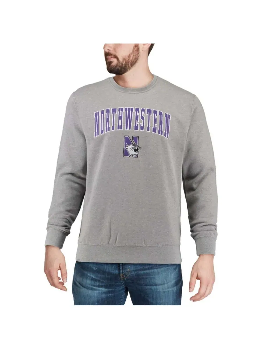 Мужская толстовка с круглым вырезом и логотипом команды Northwestern Wildcats Colosseum — изображение 4 из 7, серый