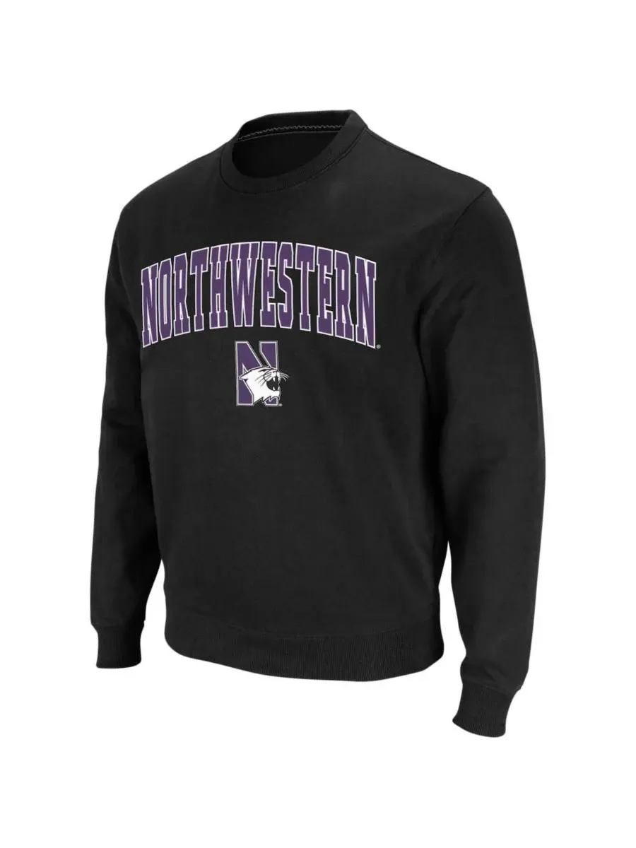 Мужская толстовка с круглым вырезом и логотипом команды Northwestern Wildcats Colosseum — изображение 5 из 7, серый