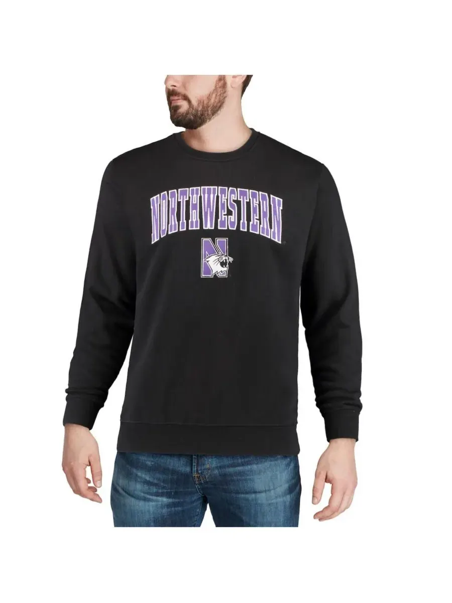 Мужская толстовка с круглым вырезом и логотипом команды Northwestern Wildcats Colosseum — изображение 7 из 7, серый