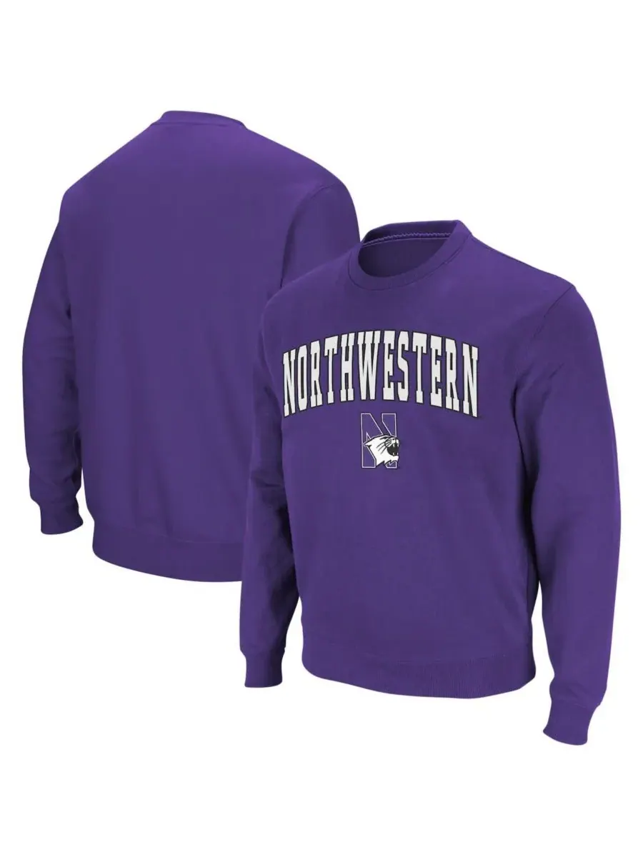 Мужская толстовка с круглым вырезом и логотипом команды Northwestern Wildcats Colosseum — изображение 1 из 7, фиолетовый