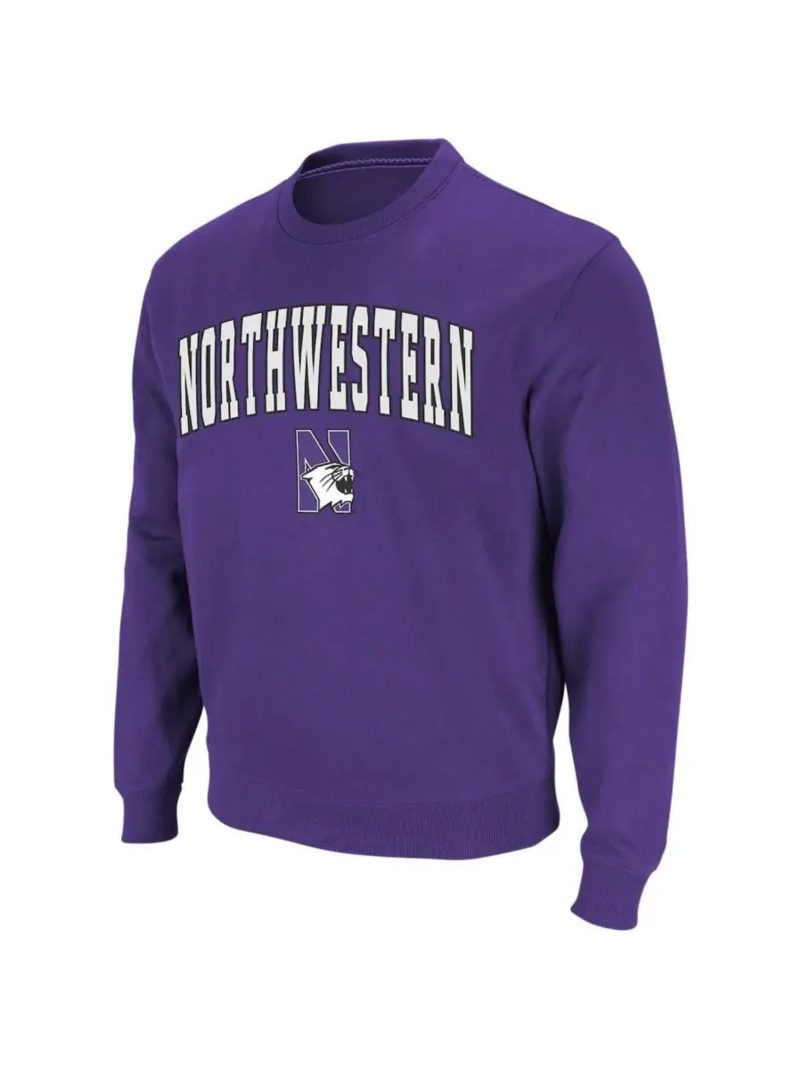Мужская толстовка с круглым вырезом и логотипом команды Northwestern Wildcats Colosseum — изображение 2 из 7, фиолетовый
