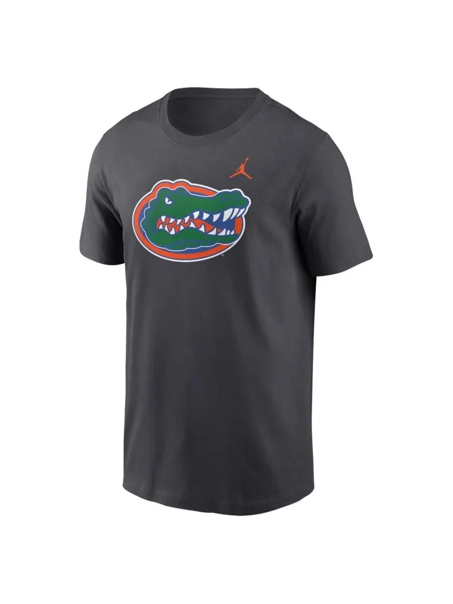 Футболка с длинным рукавом Primetime Evergreen Logo Jordan — изображение 2 из 2, серый