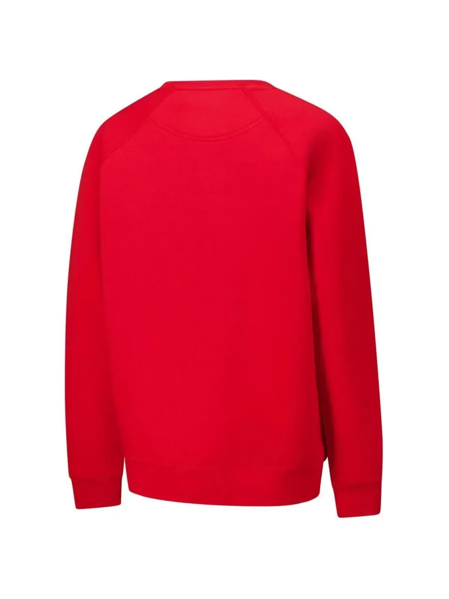 League Collegiate Wear Мужская красная толстовка-пуловер Wisconsin Badgers Bendy Arch Essential 2.0 — изображение 3 из 3