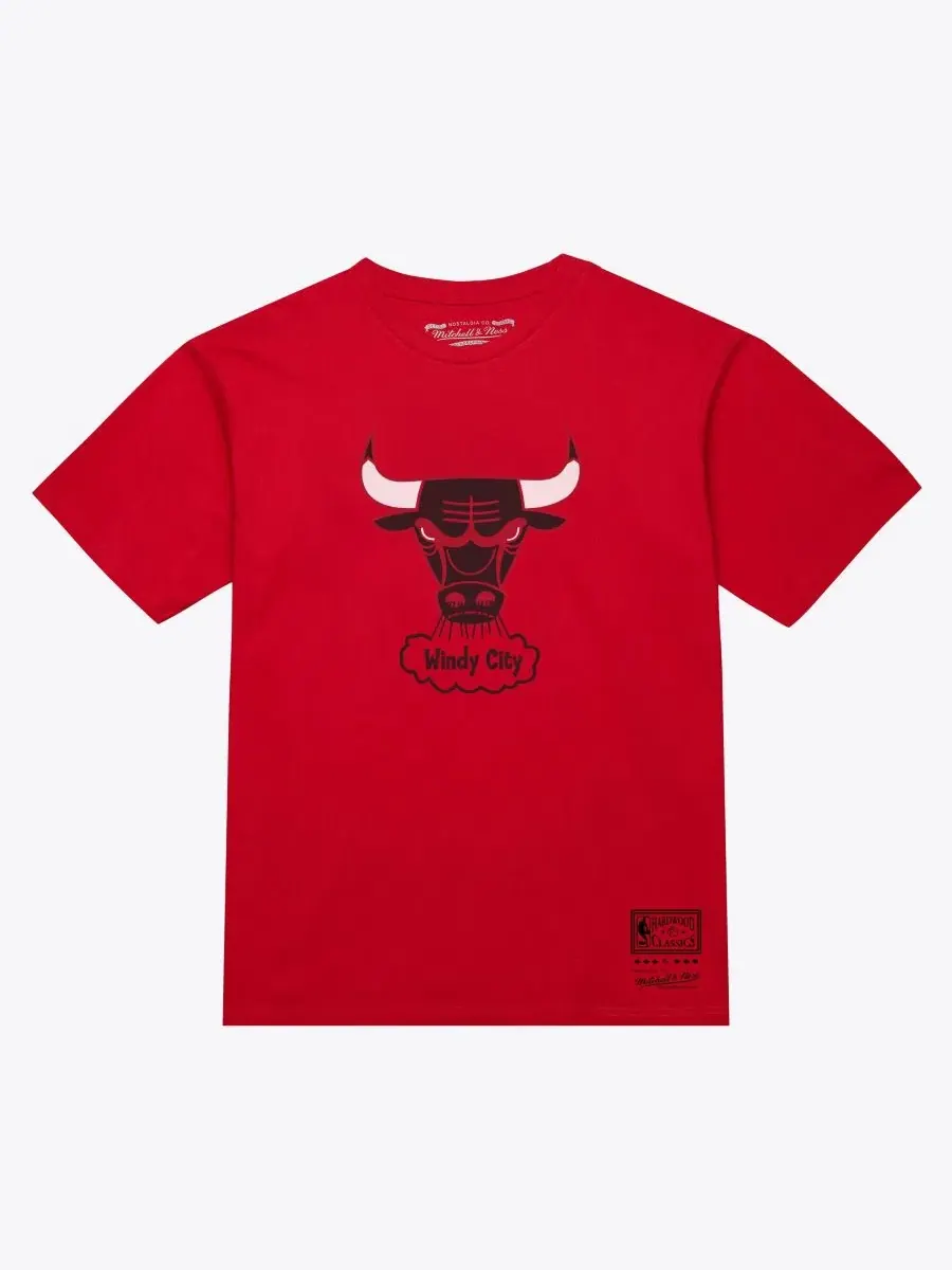 Футболка с принтом Chicago Bulls Hardwood Classics Arch Mitchell & Ness