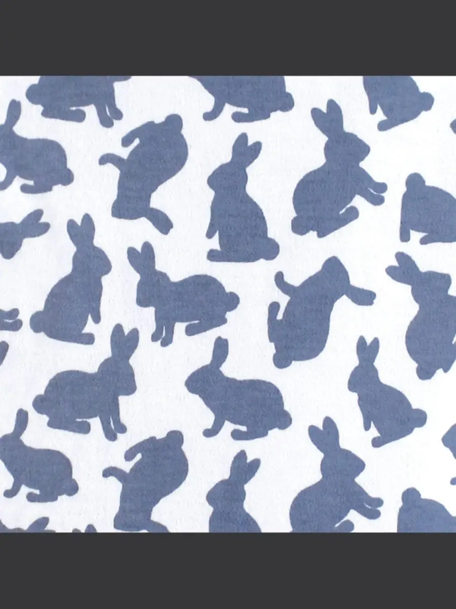 Набор из пяти боди с длинными рукавами Yoga Sprout, Snuggle Bunny — изображение 2 из 2