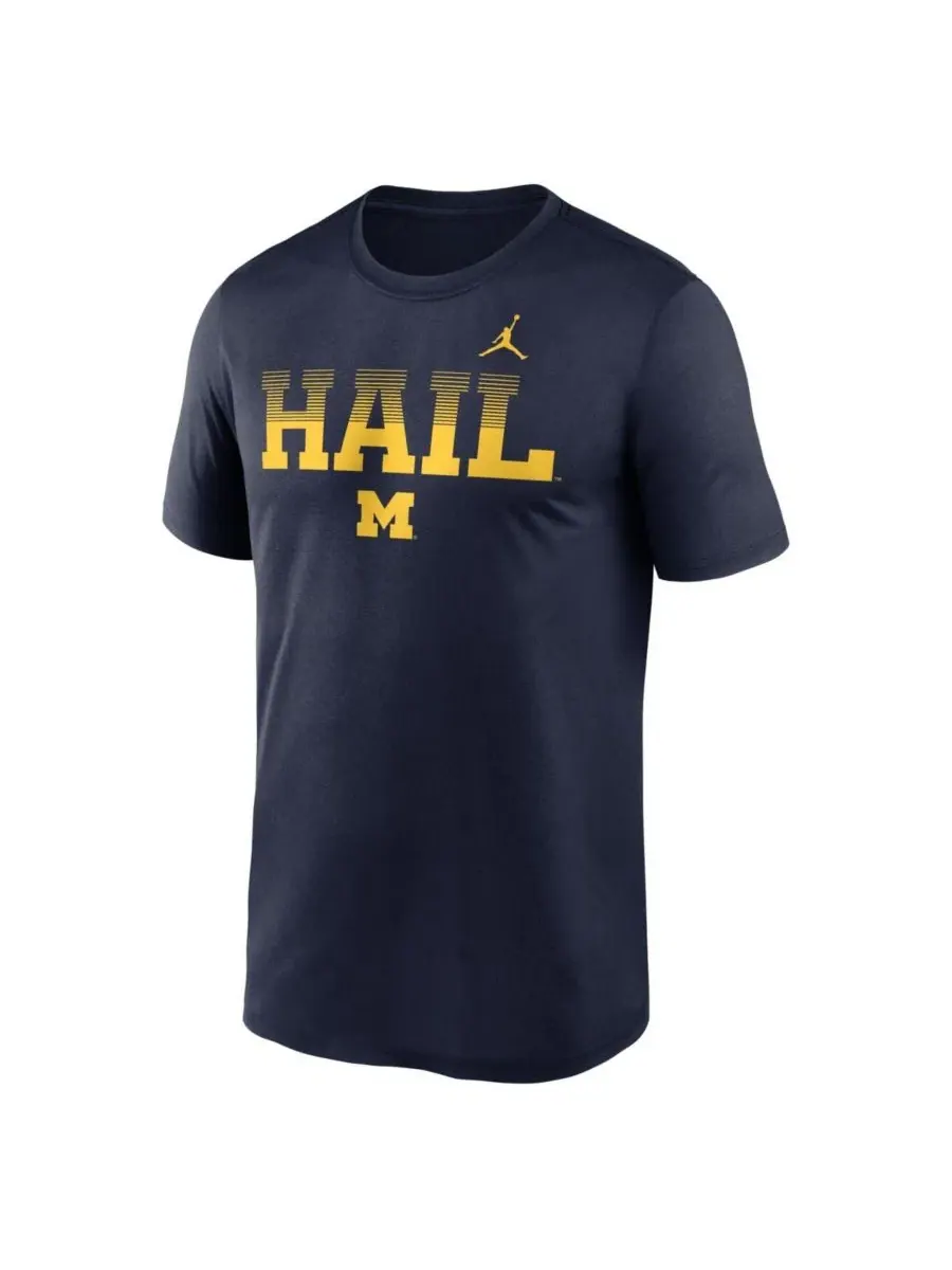 Футболка с длинным рукавом Michigan Wolverines Primetime Legend Kinetic Mantra Dri-FIT Jordan — изображение 2 из 5
