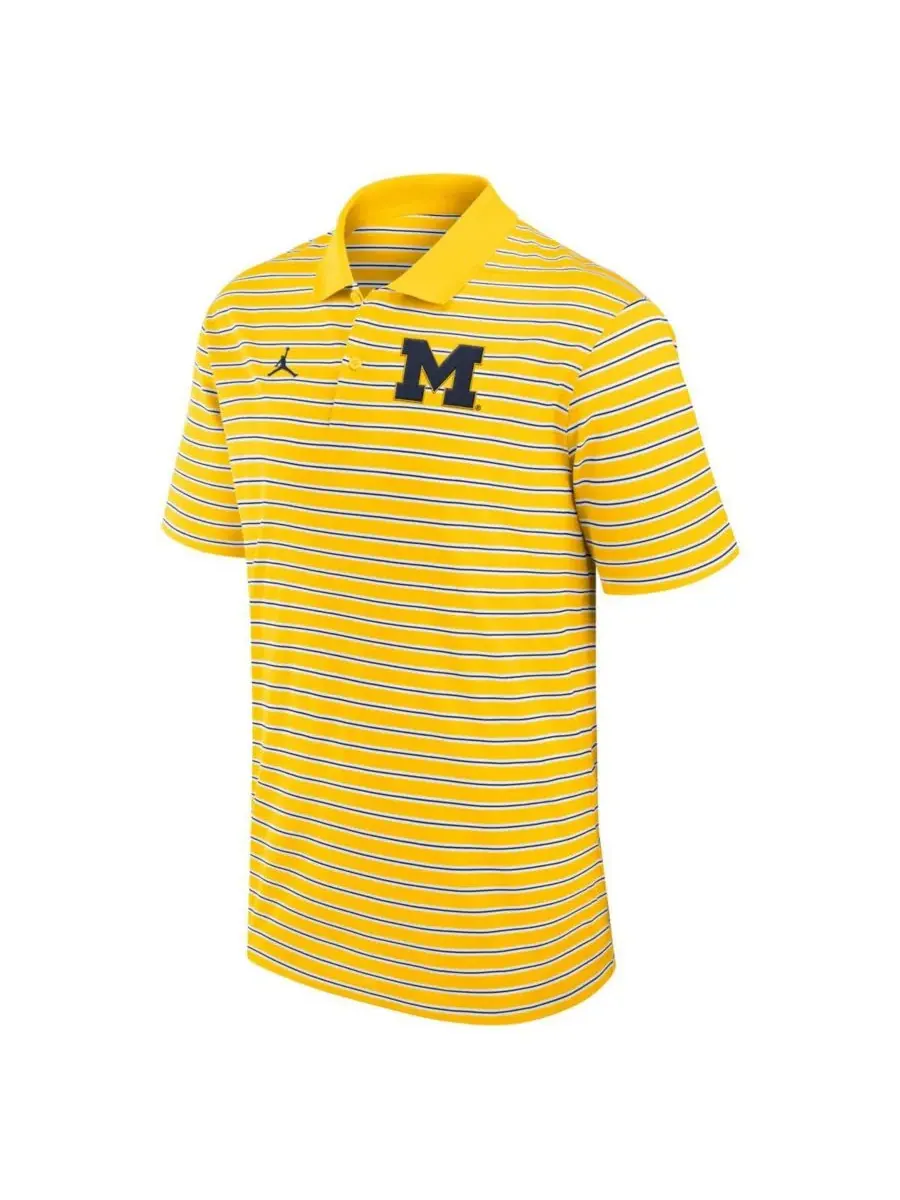 Jordan Мужская полосатая рубашка-поло Michigan Wolverines Primetime Victory цвета кукурузы и белого — изображение 3 из 3