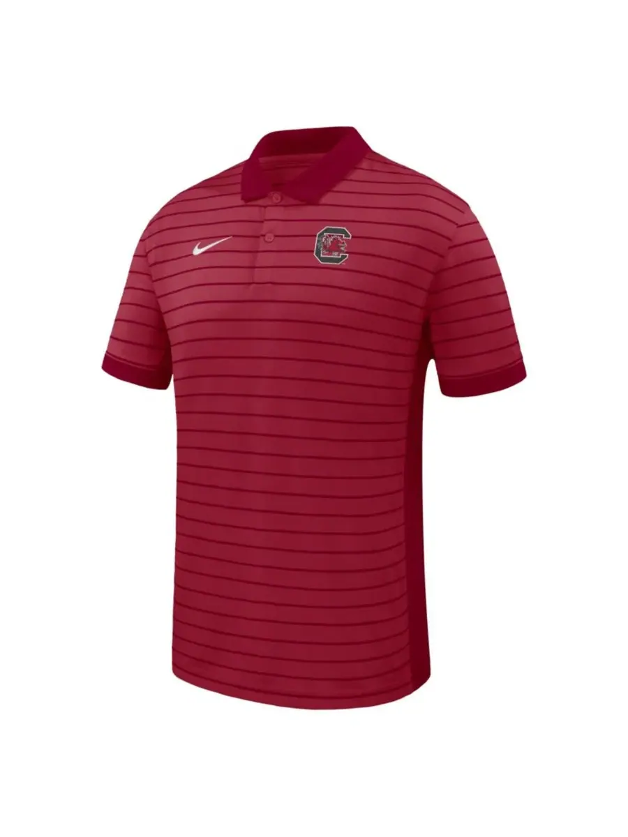 Поло Dri-FIT Victory Stripe с командной символикой Nike