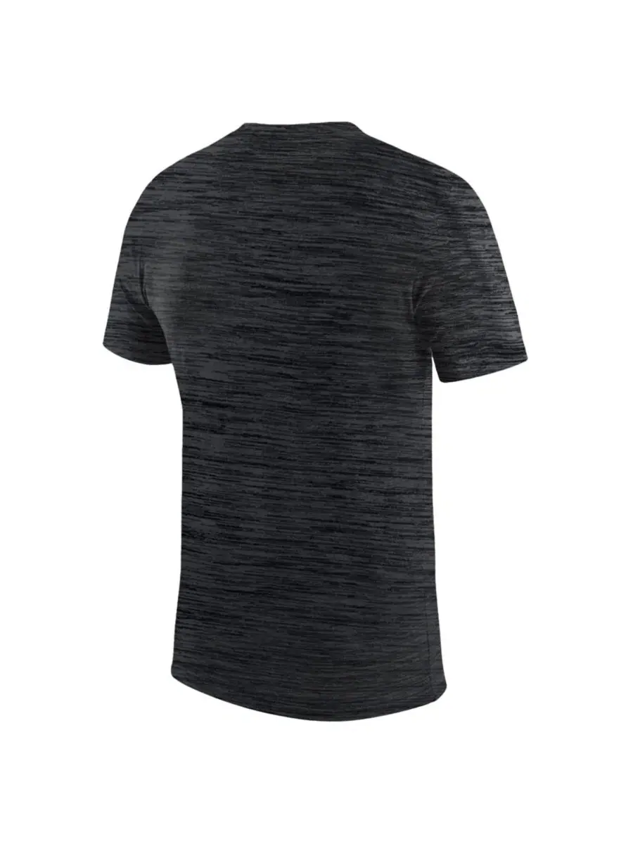 Футболка с коротким рукавом с принтом Colorado Buffaloes Velocity Dri-FIT Nike — изображение 2 из 3, черный