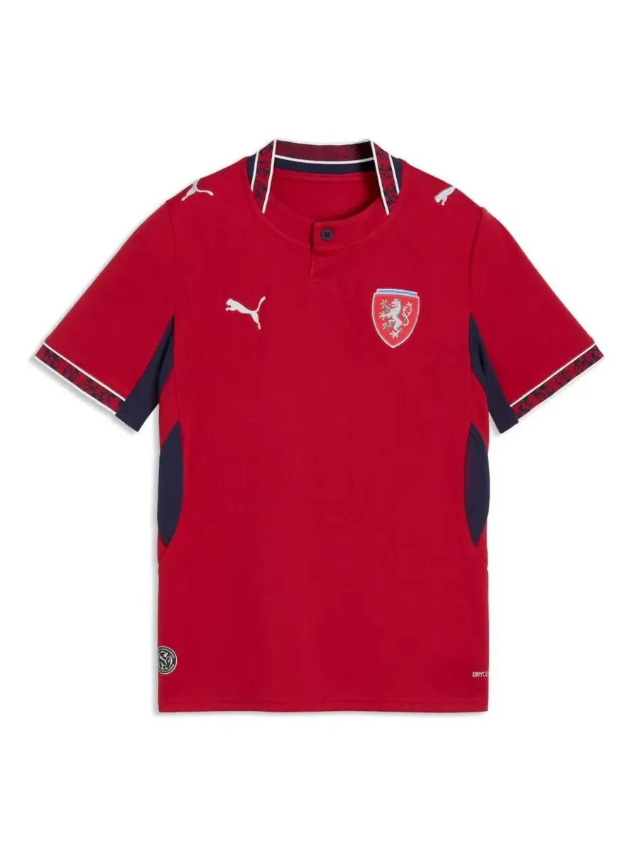 Детская футболка с длинным рукавом, с принтом, Czech Republic National Team 2026 Home Replica
