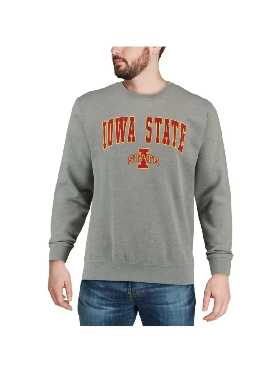 Мужская толстовка с круглым вырезом и логотипом команды Iowa State Cyclones Colosseum — изображение 4 из 7, серый