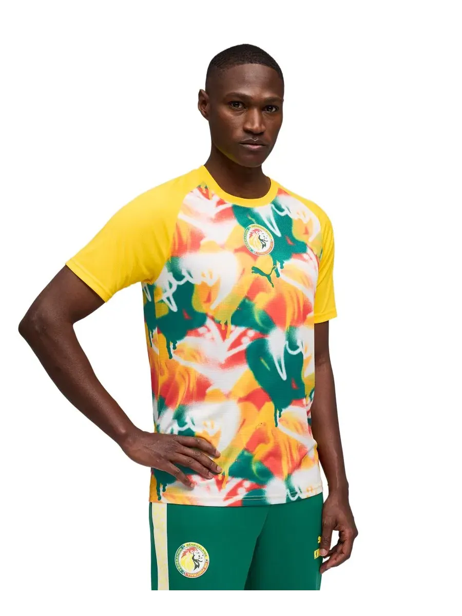 Футболка с круглым вырезом и коротким рукавом, модель Senegal Warm-up Puma