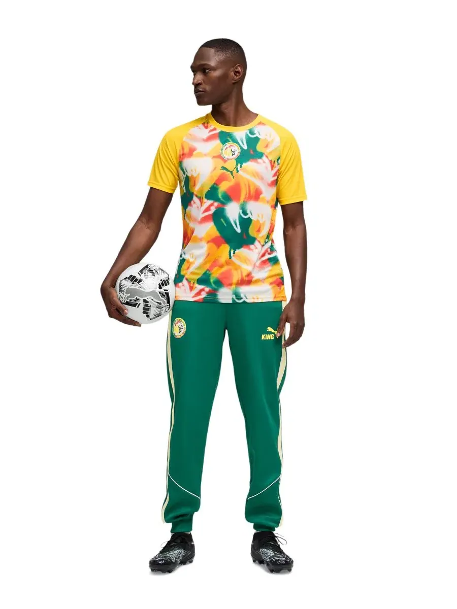 Футболка с круглым вырезом и коротким рукавом, модель Senegal Warm-up Puma — изображение 2 из 3