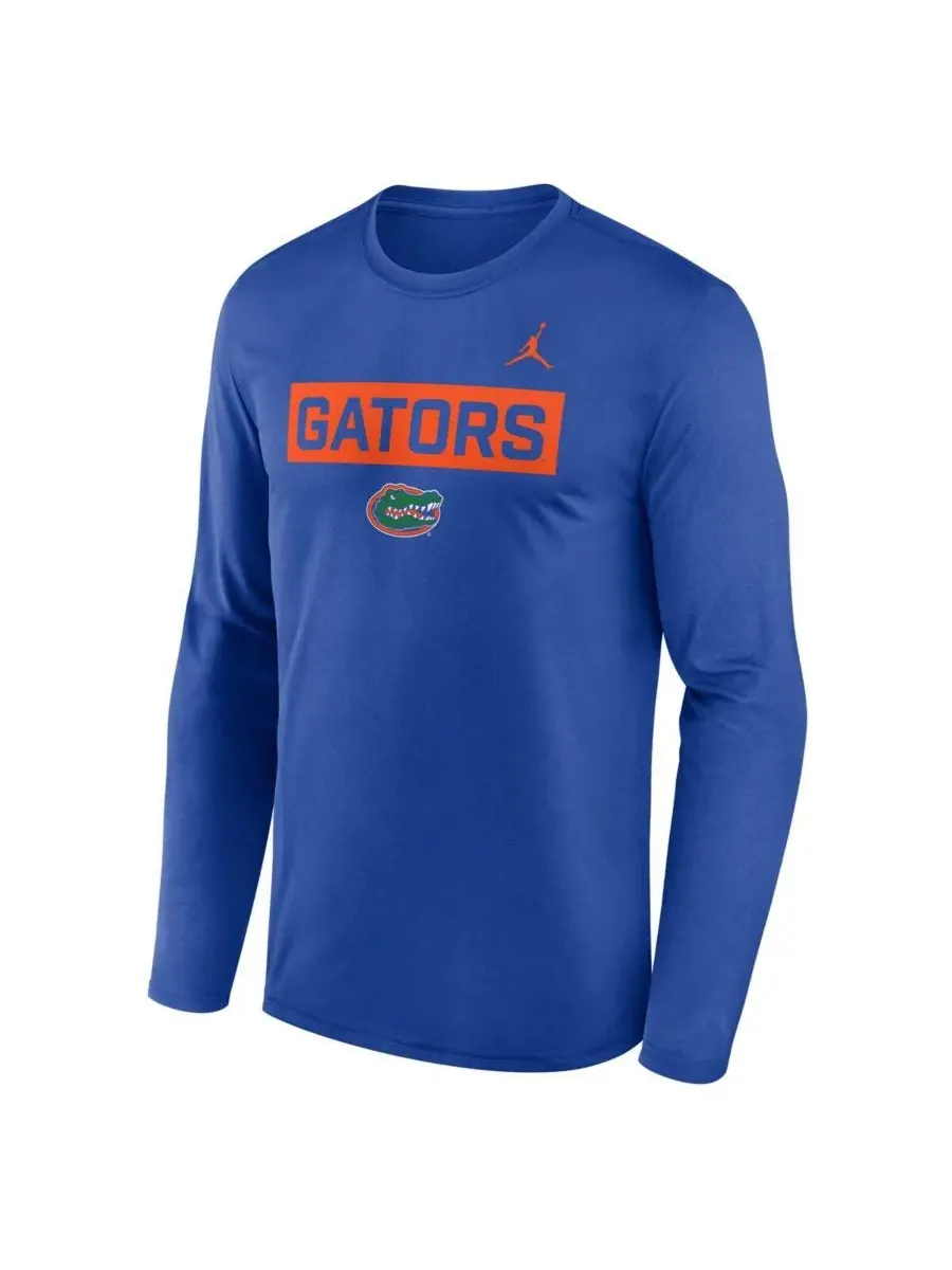 Мужская футболка с длинным рукавом Royal Florida Gators Primetime Campus 2-Hit Legend Jordan — изображение 2 из 3