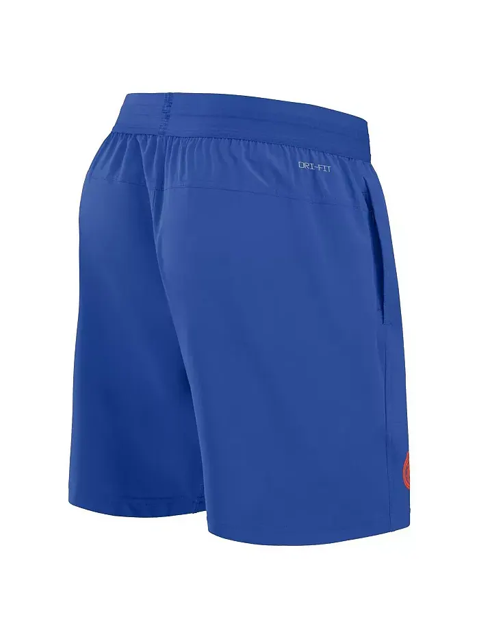 Мужские шорты для тренировок Royal Florida Gators 2024 Sideline Performance Shorts Jordan — изображение 4 из 4
