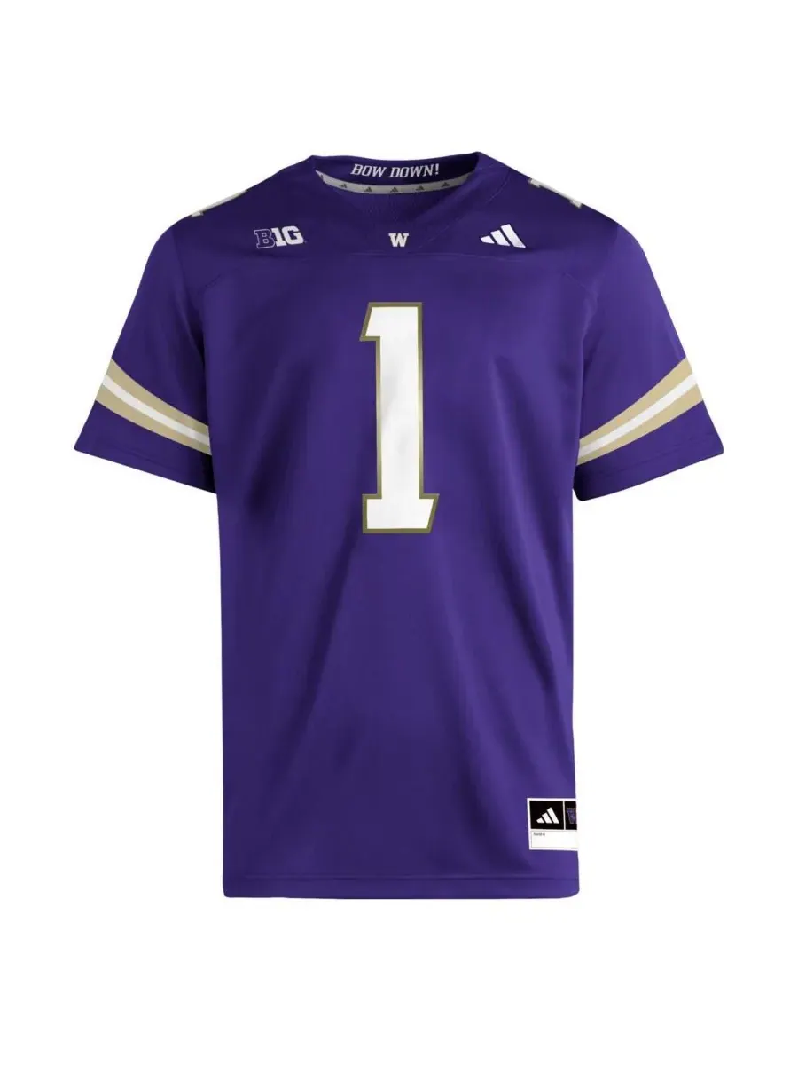 Adidas Мужская фиолетовая футболка Washington Huskies Premier — изображение 2 из 3, фиолетовый