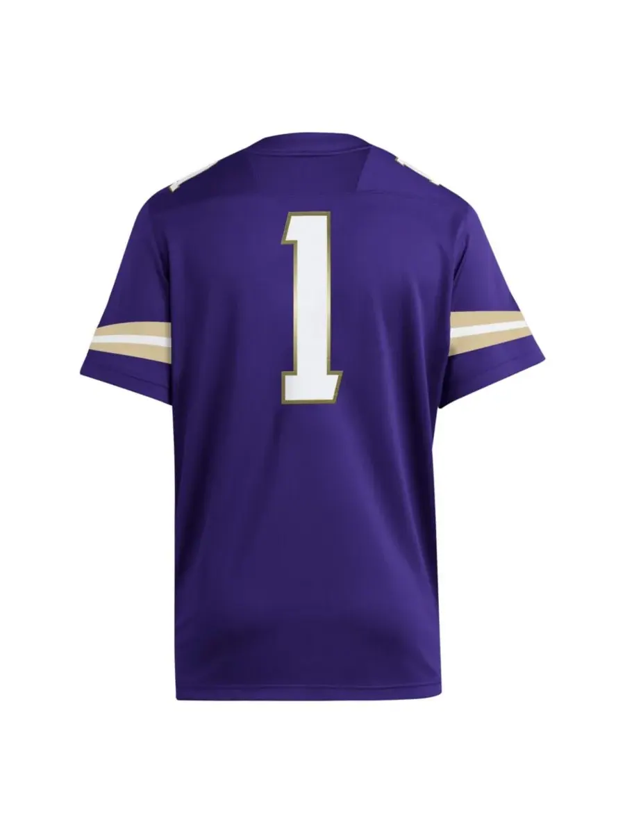 Adidas Мужская фиолетовая футболка Washington Huskies Premier — изображение 3 из 3, фиолетовый