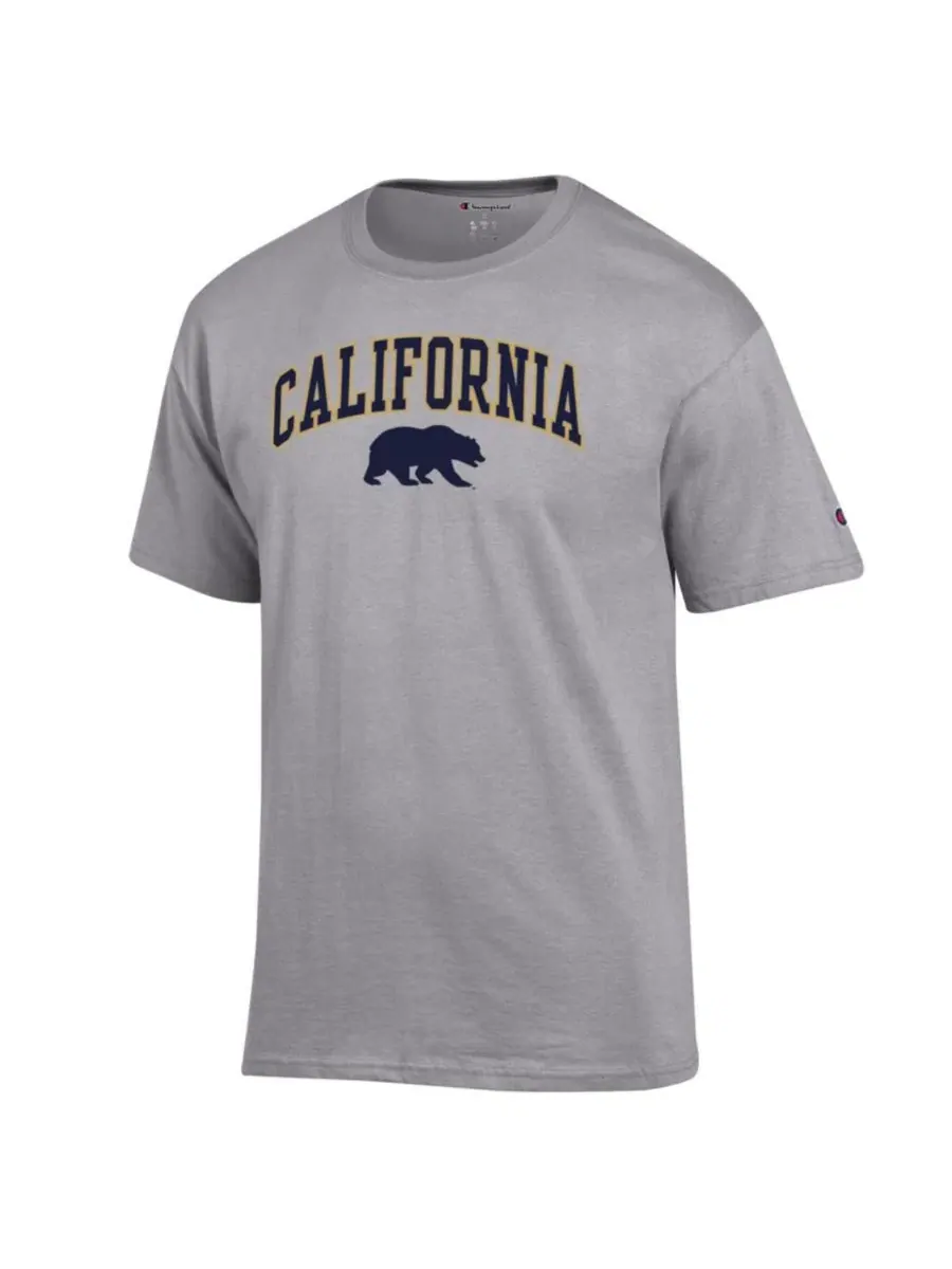 Футболка с длинным рукавом Champion Arched Logo — изображение 3 из 3, серый