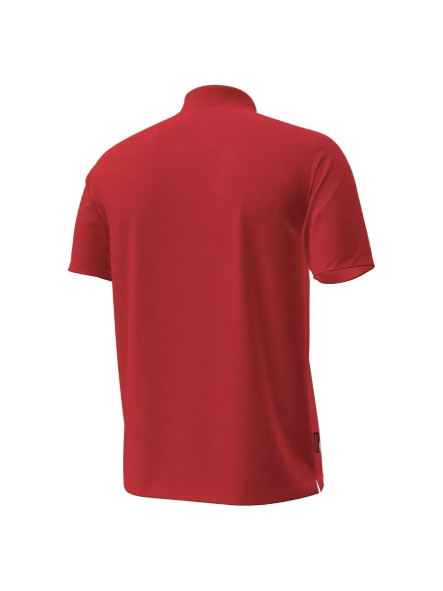 Мужская футболка-поло с принтом Wisconsin Badgers Performance Drive Chest Stripe Under Armour — изображение 2 из 3, красный