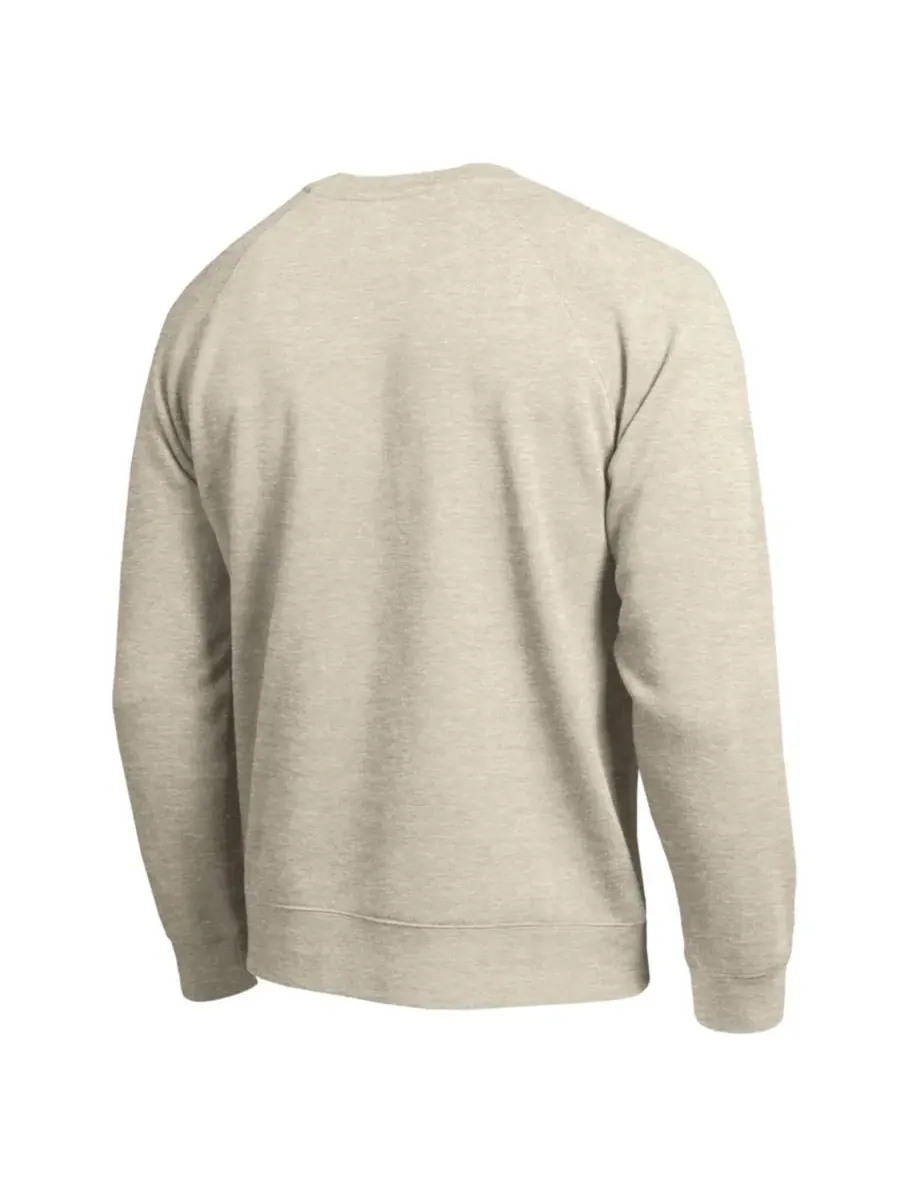 Свитшот реглан с фетровым принтом All-Star Soft Felt Raglan Champion — изображение 2 из 3, овсяный