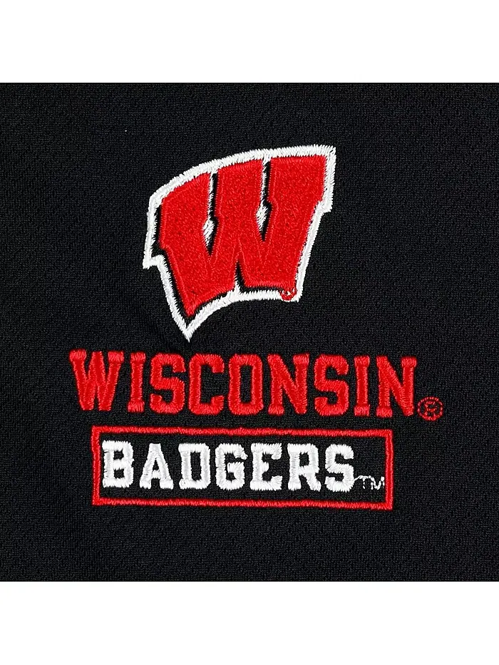 Мужская черная текстурированная куртка Wisconsin Badgers с молнией до четверти Champion — изображение 4 из 4