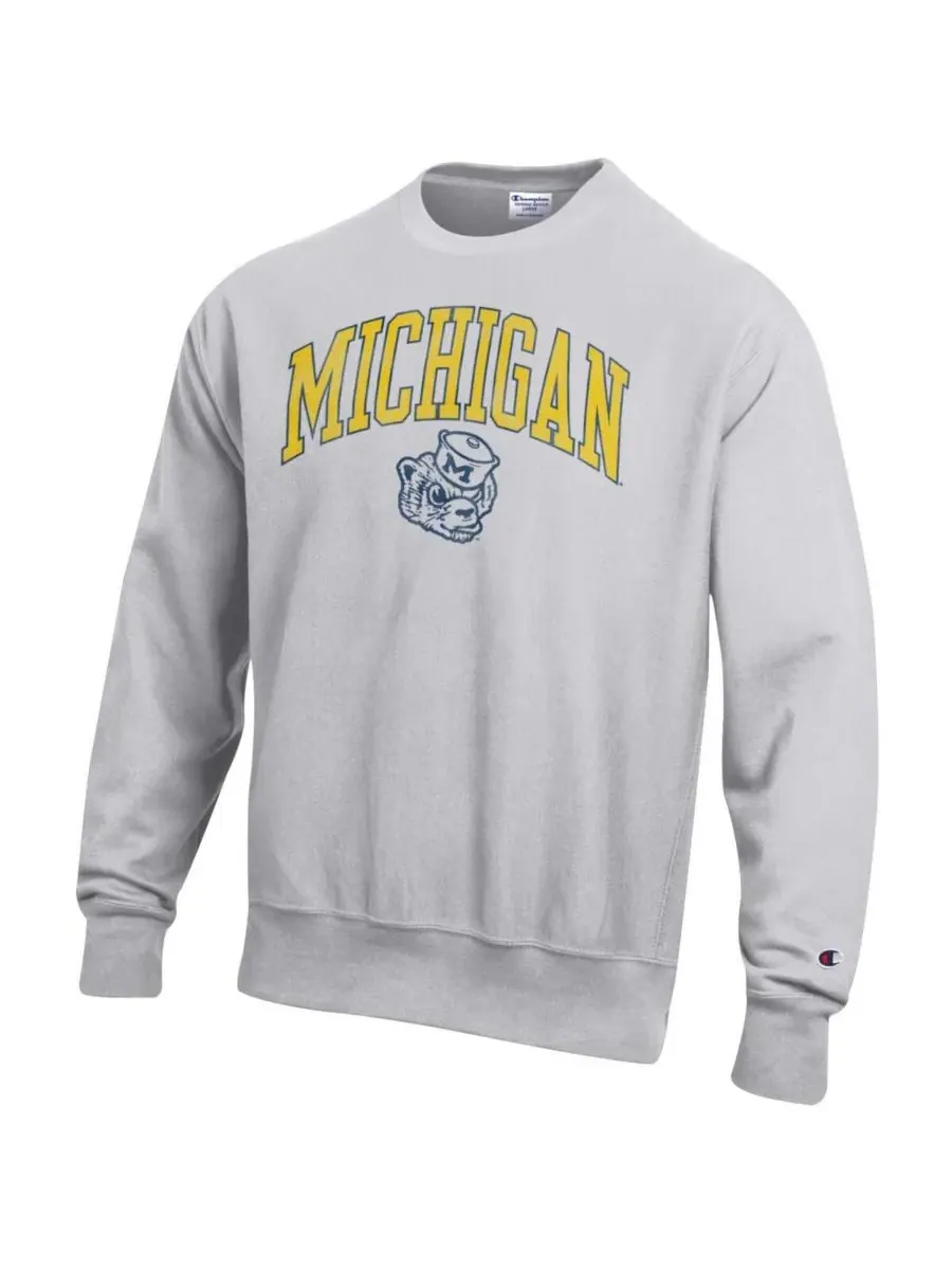 Champion Мужская серая толстовка с круглым вырезом и логотипом команды Michigan Wolverines с — изображение 3 из 3, серый