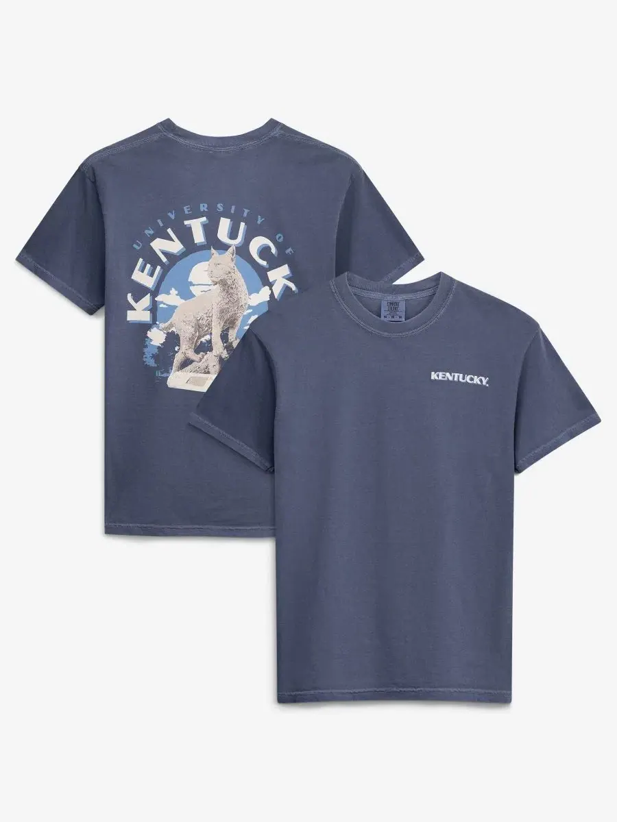 Футболка с принтом Kentucky Wildcats Comfort Colors Team Statue Image One