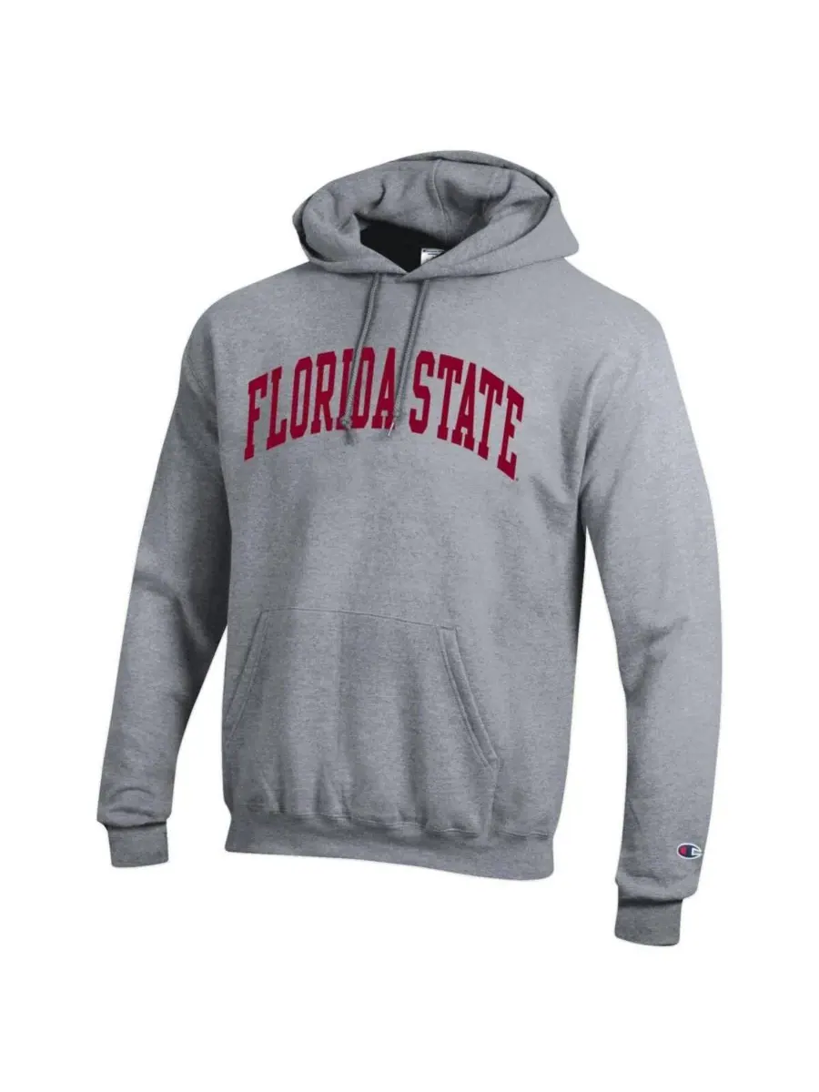 Champion Мужская флисовая толстовка с капюшоном серого цвета с символикой команды Florida State — изображение 3 из 3, серый