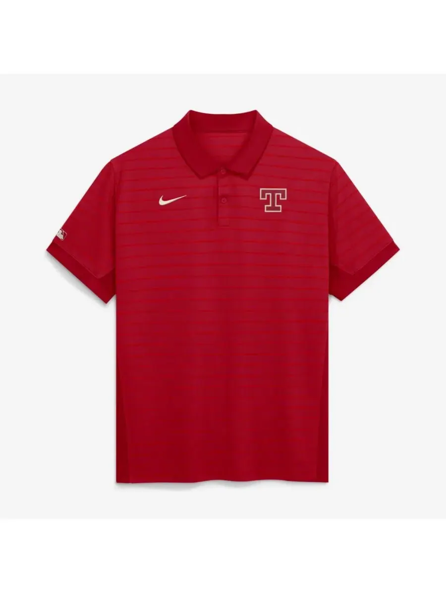 Поло с коротким рукавом Dri-FIT, модель City Connect Striped Victory Nike