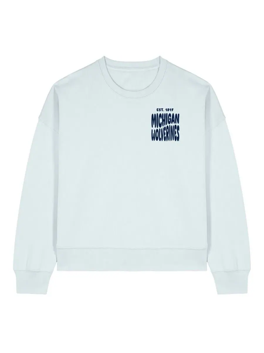 Свитшот с принтом Michigan Wolverines Cloud Uscape Apparel — изображение 2 из 4, светлый синий