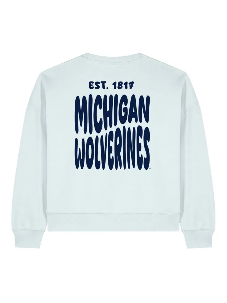 Свитшот с принтом Michigan Wolverines Cloud Uscape Apparel — изображение 3 из 4, светлый синий