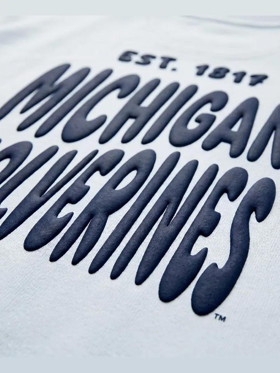 Свитшот с принтом Michigan Wolverines Cloud Uscape Apparel — изображение 4 из 4, светлый синий