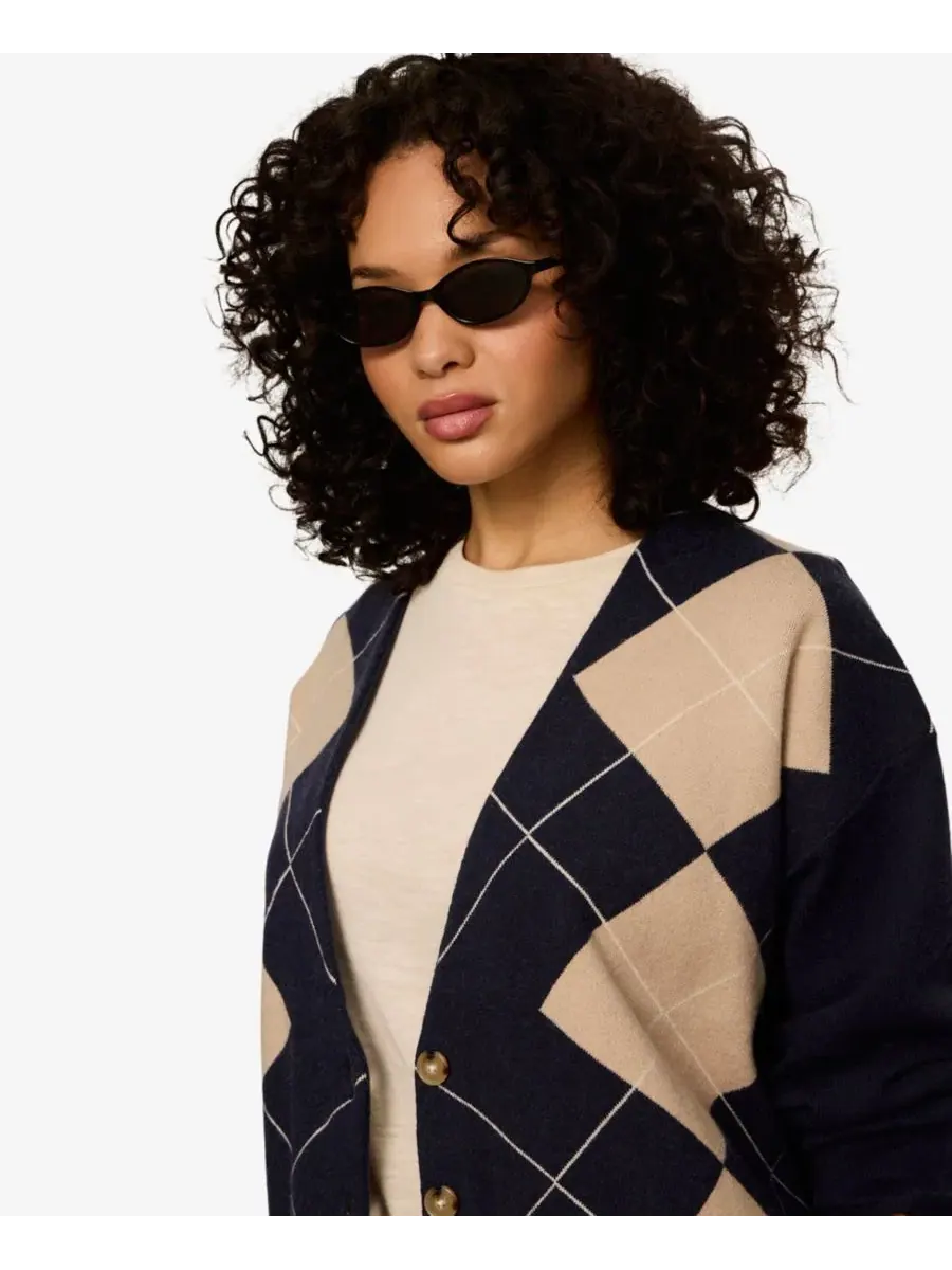 Свитер с V-образным вырезом и пуговицами Arden Long-Sleeve V-Neck Sanctuary, Loma Argyle — изображение 6 из 6