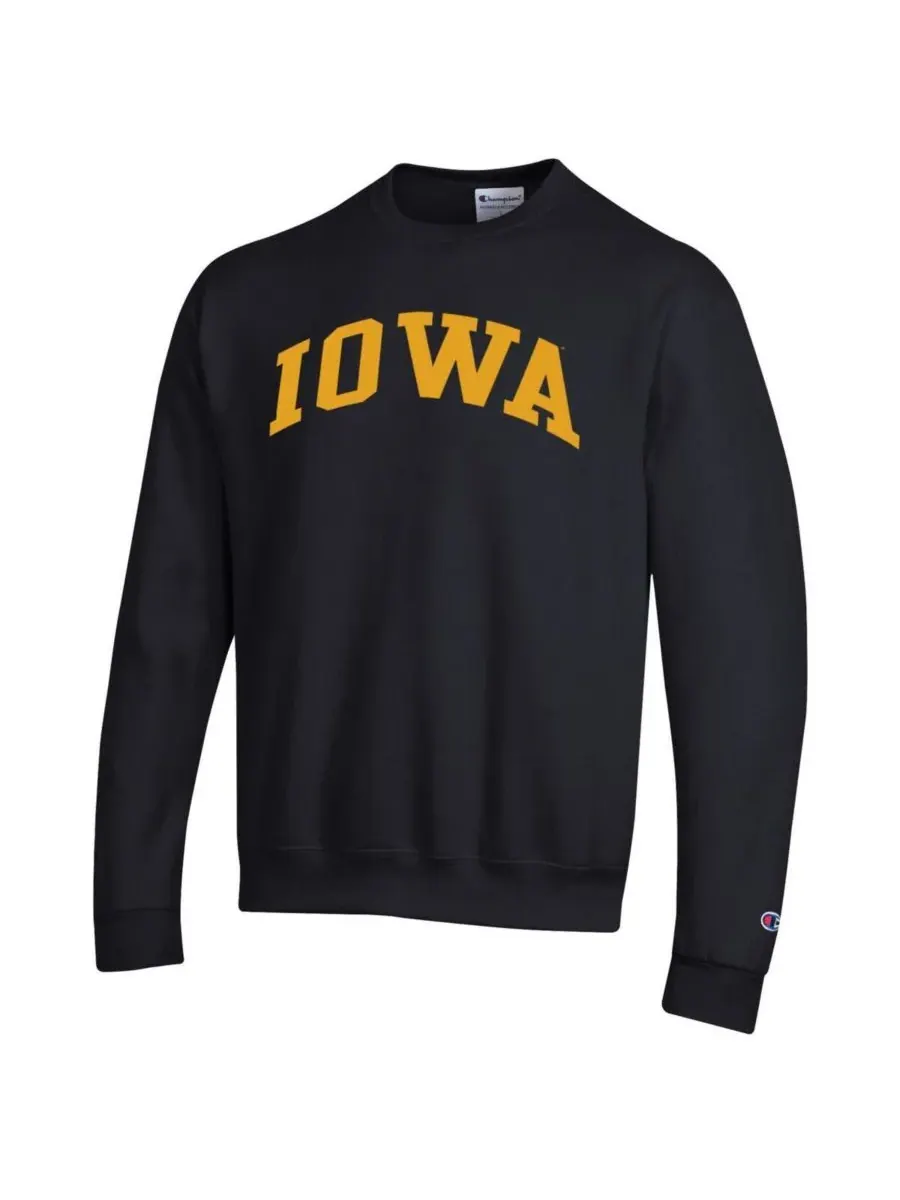 Champion Мужская черная флисовая толстовка с принтом Iowa Hawkeyes Basic Arch — изображение 3 из 3, черный